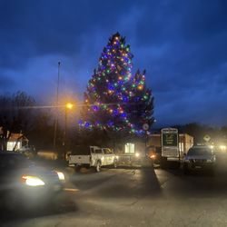 Evergreen Farm Feed and Garden - Merry Christmas