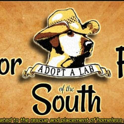Labrador Friends of the South - LFS