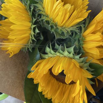 Conroy's Flowers - Florists Near Me - Long Beach, California Conroy's Flowers - Florists Near Me - Long Beach, California