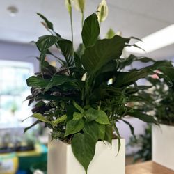 Hillsdale Florist