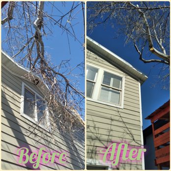 Bird's Eye View Tree Services - Emergency call out - Tree Services Near Me Bird's Eye View Tree Services - Emergency call out - Tree Services Near Me
