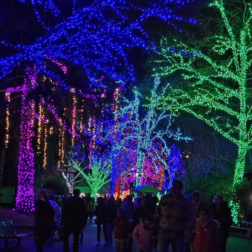 ZooLights - Zoos Near Me - Washington, DC, District of Columbia
