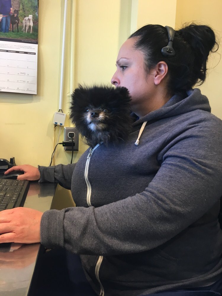 PARK ANIMAL HOSPITAL & WELLNESS CENTER 14 Photos & 102 Reviews