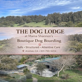 The Dog Lodge - Peaceful country setting just minutes off Highway 101 in Aromas, CA. - Pet Boarding Near Me - Aromas, California The Dog Lodge - Peaceful country setting just minutes off Highway 101 in Aromas, CA. - Pet Boarding Near Me - Aromas, California
