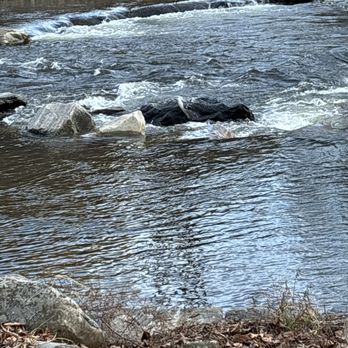 Standingdeer Campground - Trout stream - Campgrounds Near Me - Cherokee, North Carolina Standingdeer Campground - Trout stream - Campgrounds Near Me - Cherokee, North Carolina