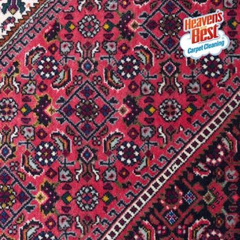 Heaven's Best Carpet Cleaning - Carpet Cleaning Near Me Heaven's Best Carpet Cleaning - Carpet Cleaning Near Me