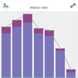 5 days at Riverdog, so many steps! 5 days at Riverdog, so many steps!