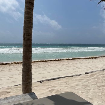 Casa Malca - There's so much seaweed!! You would think with all that money they charge the beach would at least be clean! - Hotels Near Me - Tulum, ROO Casa Malca - There's so much seaweed!! You would think with all that money they charge the beach would at least be clean! - Hotels Near Me - Tulum, ROO