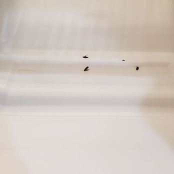 AMH - The joy of being a renter with American Homes For Rent. This company is a joke. - Property Management Near Me - Norcross, Georgia