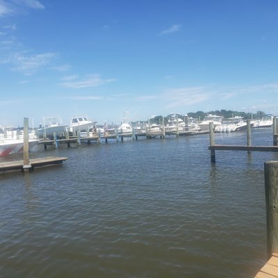 Dock of the Bay by null