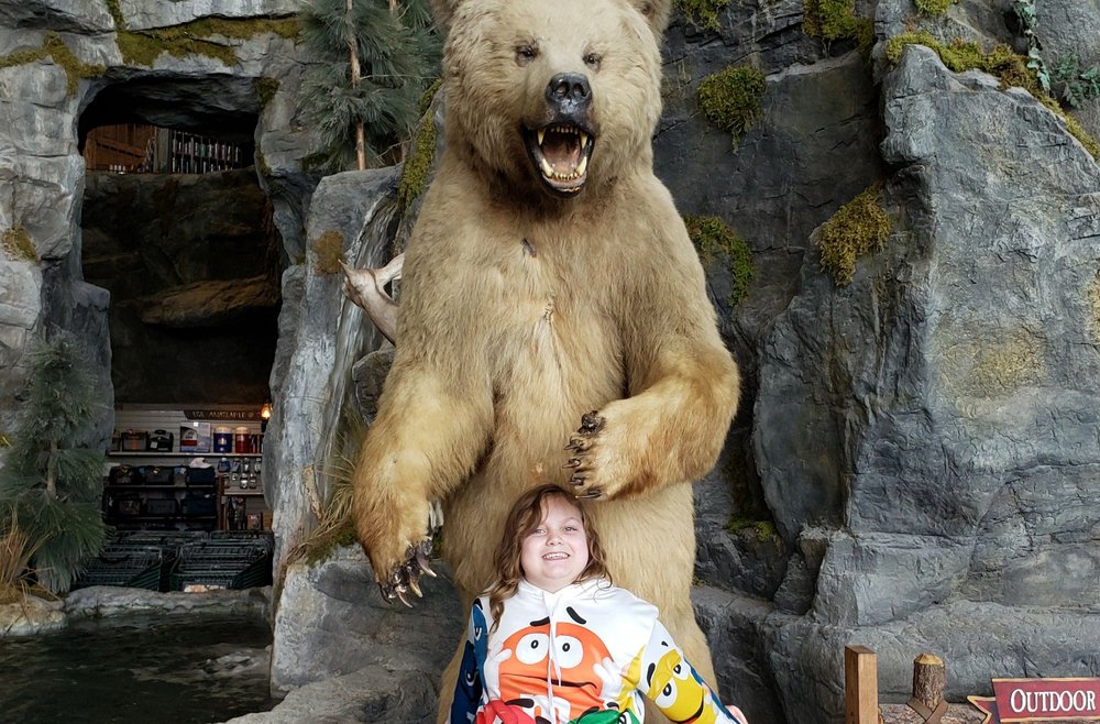 SUNGLASS HUT 138 Photos & 62 Reviews 5001 Bass Pro Dr, Garland