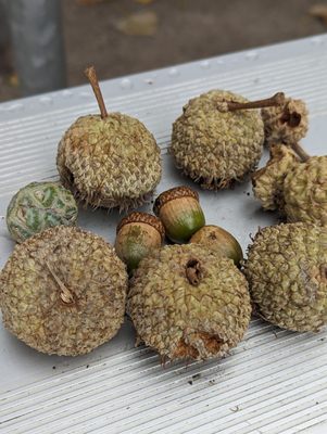 Bethany Lakes Park by null