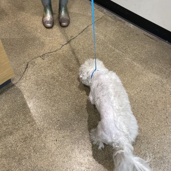 Petco - Pet Stores Near Me - Willowbrook, Illinois Petco - Pet Stores Near Me - Willowbrook, Illinois