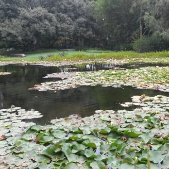 Norton Simon Museum - Art Museums Near Me - Pasadena, California Norton Simon Museum - Art Museums Near Me - Pasadena, California
