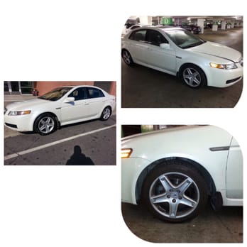 Taz Auto Mobile Detailing - Auto Detailing Near Me Taz Auto Mobile Detailing - Auto Detailing Near Me