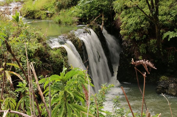 Pua'a Ka'a Falls by null