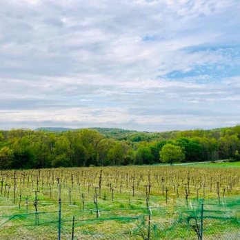 Demarest Hill Winery - Amazing view as you walk in. - Wineries Near Me - Warwick, New York Demarest Hill Winery - Amazing view as you walk in. - Wineries Near Me - Warwick, New York