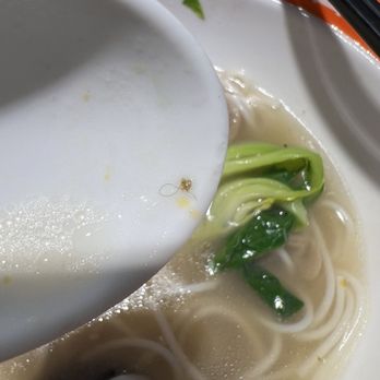 Noodle Panda - (Dec 2025) Found hair in my noodle soup - yuck - Noodles Near Me - San Francisco, California Noodle Panda - (Dec 2025) Found hair in my noodle soup - yuck - Noodles Near Me - San Francisco, California