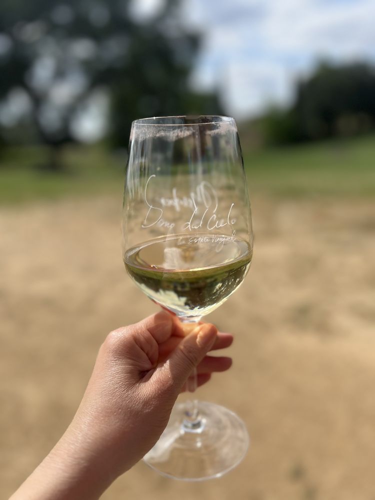 Dono dal Cielo An Estate Vineyard Logo