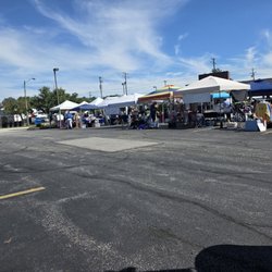 Parma Animal Shelter - Annual fundraising festival, Dog Days of Parma