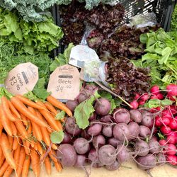 North York Civic Centre Farmers' Market
