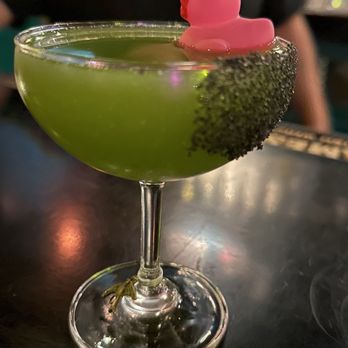 Little Bird Bar - Parrots at play - Cocktail Bars Near Me - Oakland, California Little Bird Bar - Parrots at play - Cocktail Bars Near Me - Oakland, California