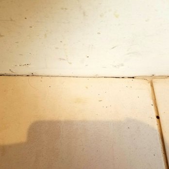 Landmarq Tree Service - No grouting between the tile & stairs - Tree Services Near Me - Wayne, New Jersey Landmarq Tree Service - No grouting between the tile & stairs - Tree Services Near Me - Wayne, New Jersey