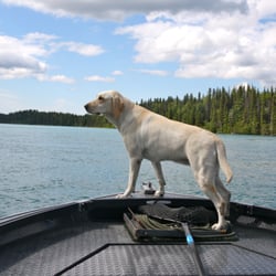 Fish Ranger Inc - Kenai, another certified Fish Ranger!