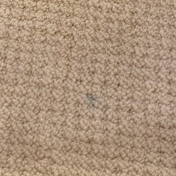 USA Carpet & Couch Cleaning - Carpet Cleaning Near Me - Oakland, California