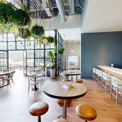 The Observatory Rooftop Bar & Lounge - Asheville's newest rooftop bar!