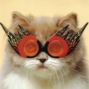 Purr Erze - Pet Groomers Near Me - Novato, California Purr Erze - Pet Groomers Near Me - Novato, California