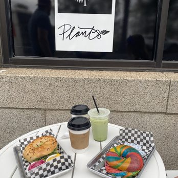 Plants & Coffee - Cafes Near Me - Easton, Pennsylvania Plants & Coffee - Cafes Near Me - Easton, Pennsylvania