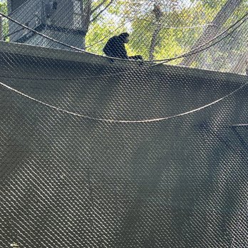 Dallas Zoo - Zoos Near Me - Dallas, Texas Dallas Zoo - Zoos Near Me - Dallas, Texas