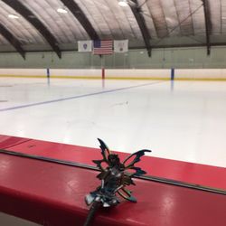 Murphy Memorial Rink