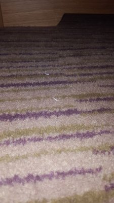 The Inn At Dromoland by null