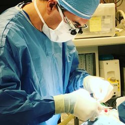 Northern Center For Plastic Surgery - Dr. Capuano performing a rhinoplaty