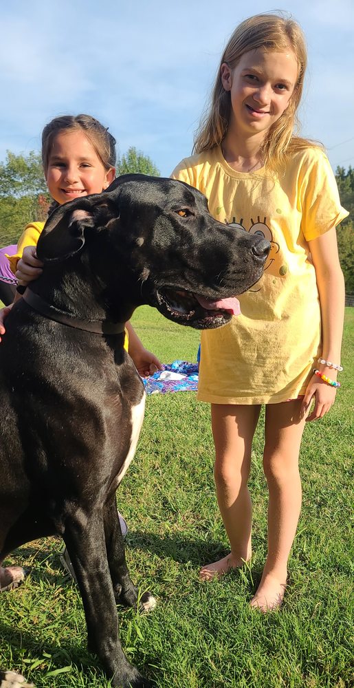 RUTHERFORD VETERINARY HOSPITAL Updated August 2024 305 Chimney Rock