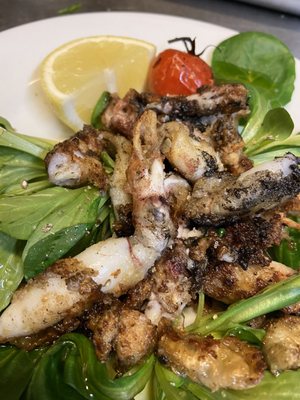 Hôtel Les Templiers by null