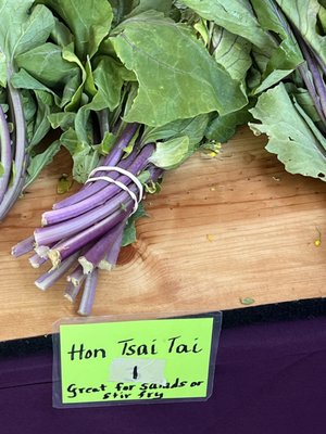 Alachua County Farmers' Market by null