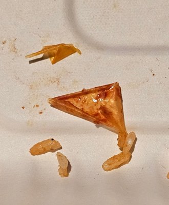 Chronic Tacos Vero Beach by null