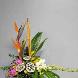 The Gilded Lily - Tropical Paradise.