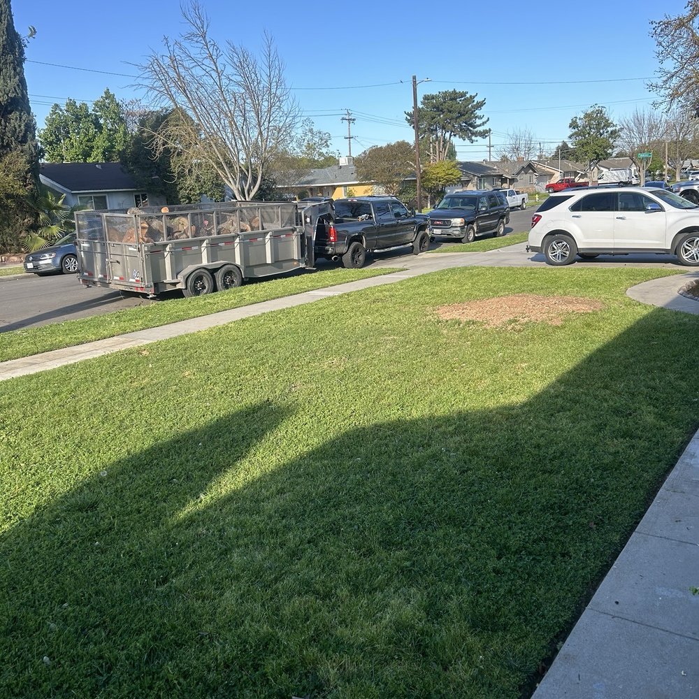 Caliarbor - Stump grinds will help the tree roots to decompose naturally - Tree Services Near Me Caliarbor - Stump grinds will help the tree roots to decompose naturally - Tree Services Near Me