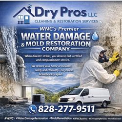 Dry Pros