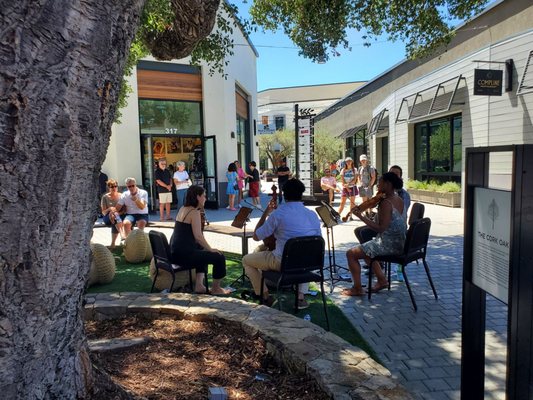 Music in the Vineyards by null