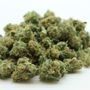 Photo of Cure Oahu