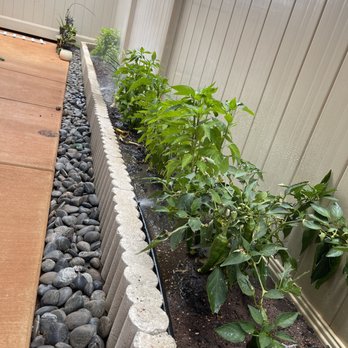 Hawaii Scenescape - 2nd stage breathable raised garden with drip line irrigation - Landscaping Near Me