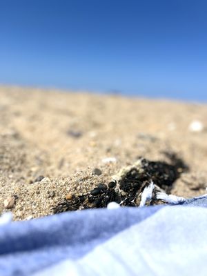 Herring Cove Beach by null