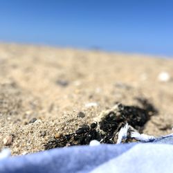 Herring Cove Beach - Over The Hump: (To Shore)