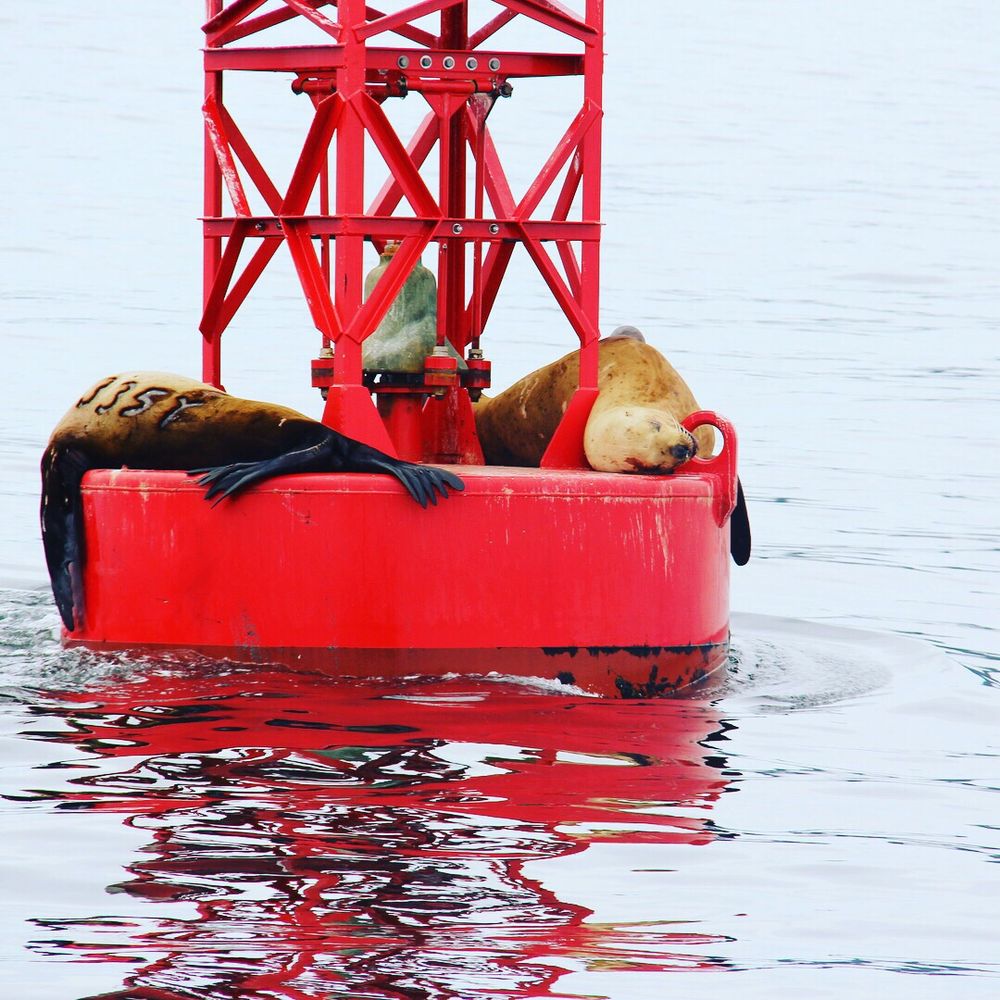 LOPEZ ISLAND Updated July 2024 15 Photos Lopez Island, Washington Parks Yelp