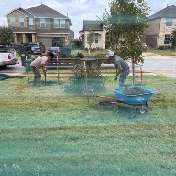 D & B Tree Company - two men working in a yard - Landscaping Near Me - Austin, Texas
